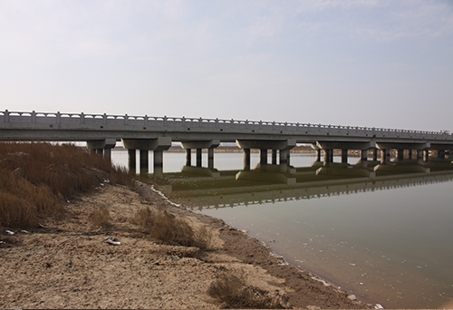 张圩港河桥